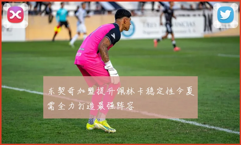 东契奇加盟提升佩林卡稳定性今夏需全力打造最强阵容