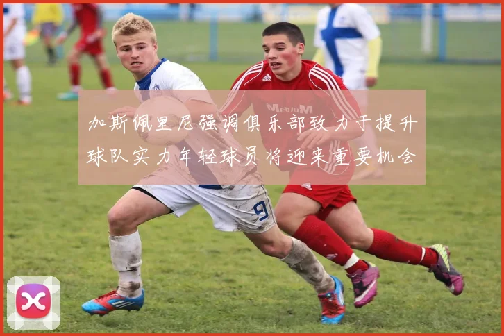 加斯佩里尼强调俱乐部致力于提升球队实力年轻球员将迎来重要机会