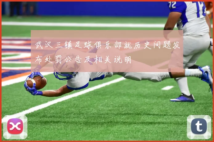 武汉三镇足球俱乐部就历史问题发布处罚公告及相关说明